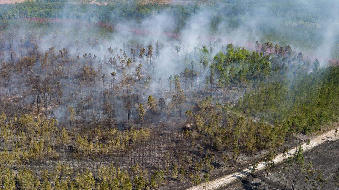 Florida is on fire as burn bans and windy conditions sweep the state
