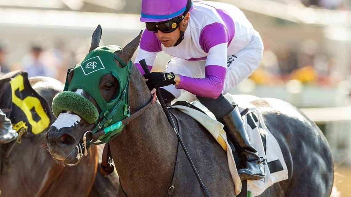 Net Par, D'Amato Quartet Drill At Santa Anita For Breeders' Cup 