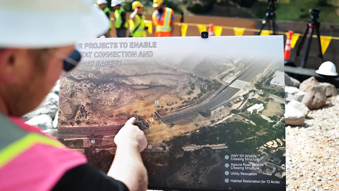 The right-wing mediasphere bashed the world's largest wildlife crossing for delays. It now has an opening date 