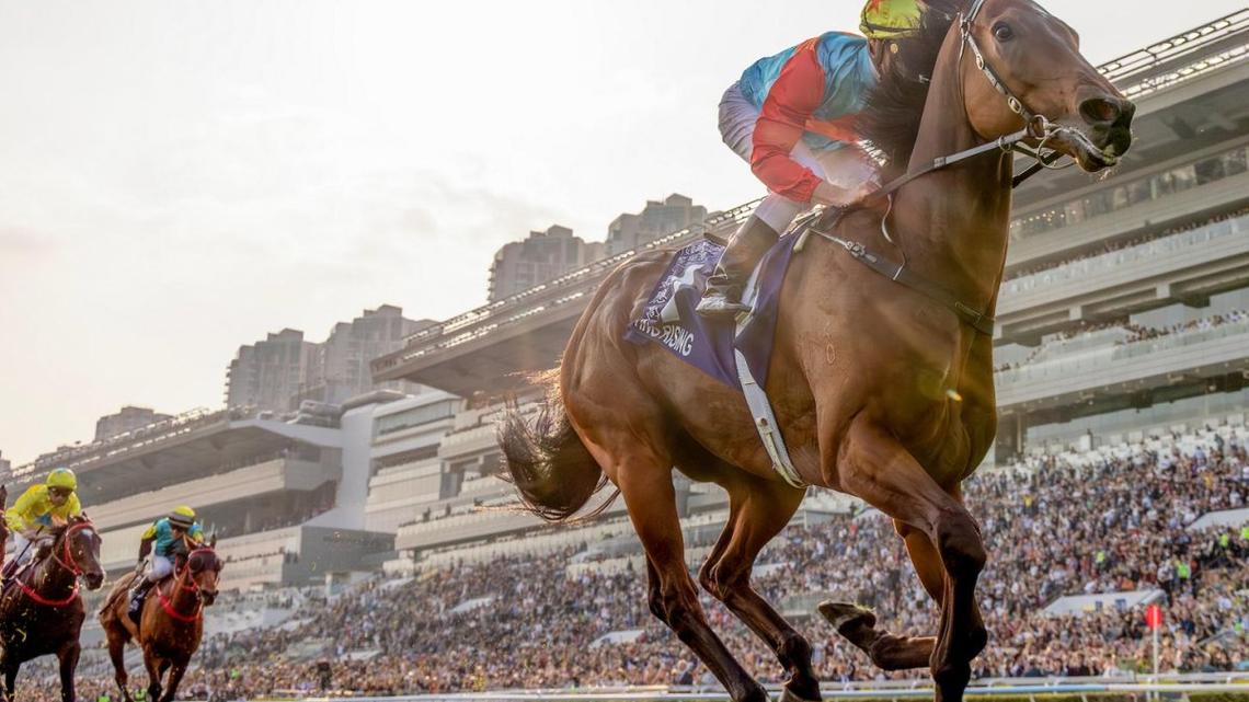 Derby preps weave into a tangled web after weekend horse racing 