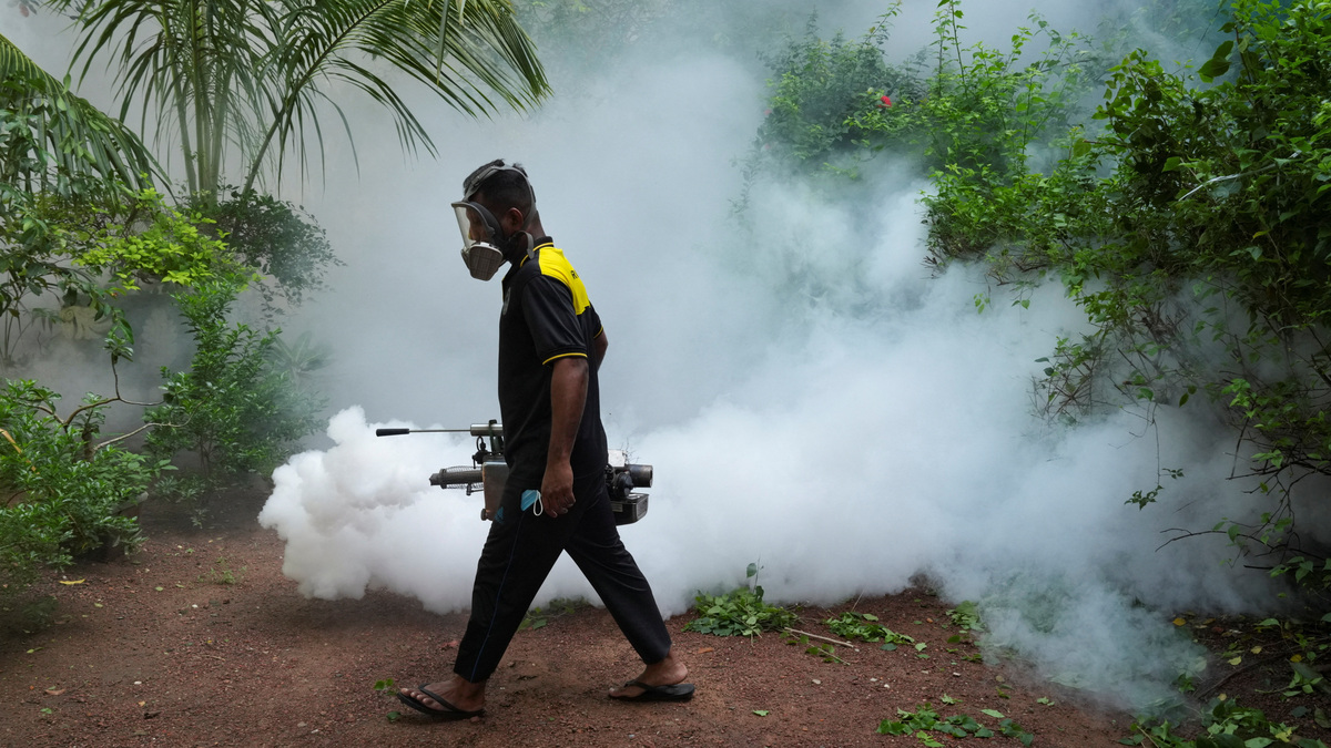 A worker from the Medical Officer of Health (MOH) department fumigates an area during a mosquito control programme in Colombo, Sri Lanka, June 19, 2026. REUTERS/Thilina Kaluthotage