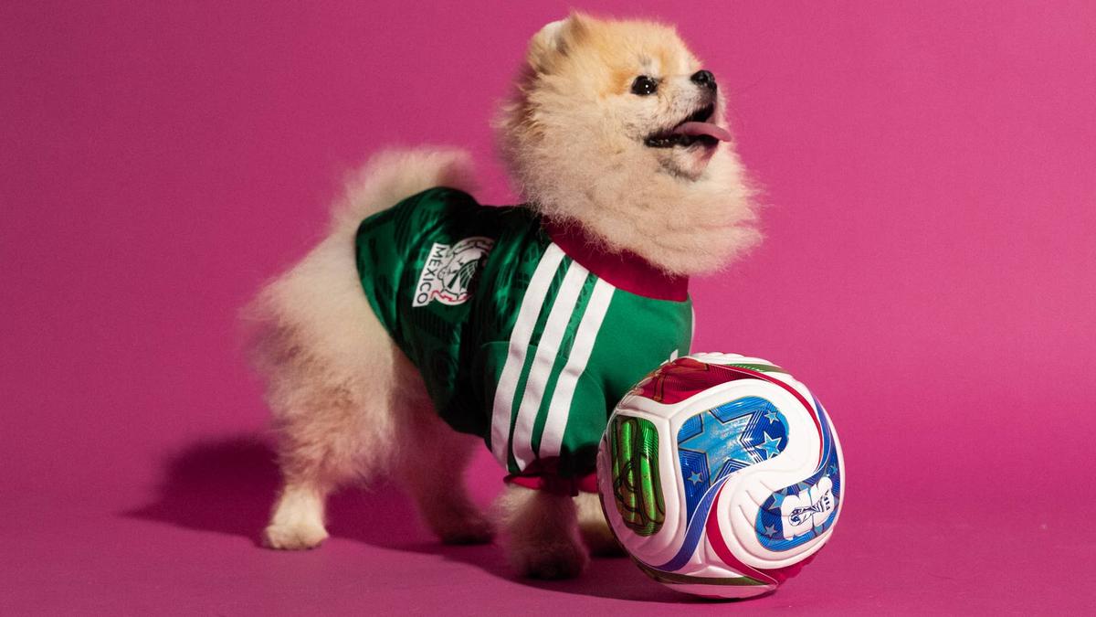  Adidas World Cup Pet Collection.