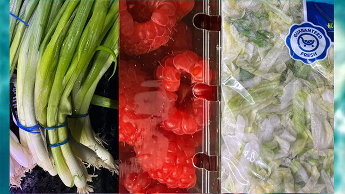 Some foods that carry cyclosporiasis include green onions, raspberries and bagged lettuce.