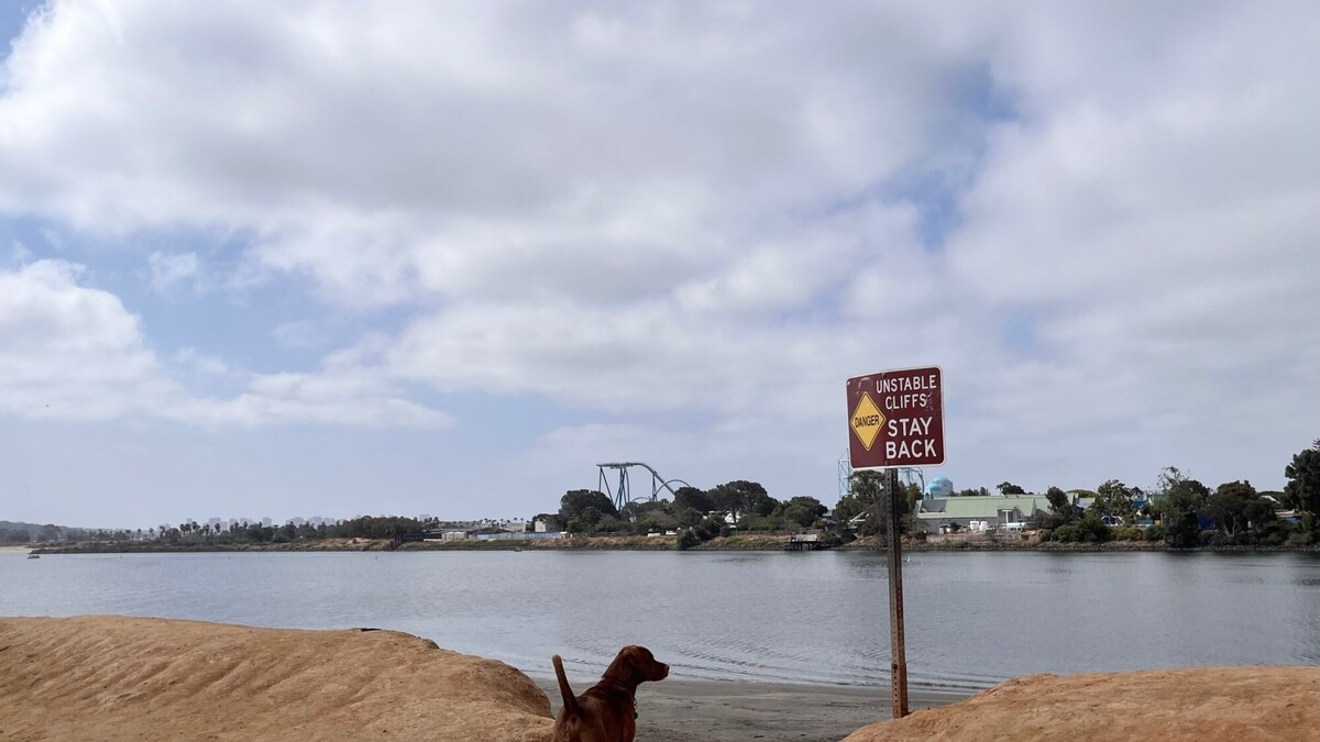 Milo stands on the cliffside at Fiesta Island, ready to bound into the water below. (Maura Fox/The San Diego Union-Tribune/TNS)