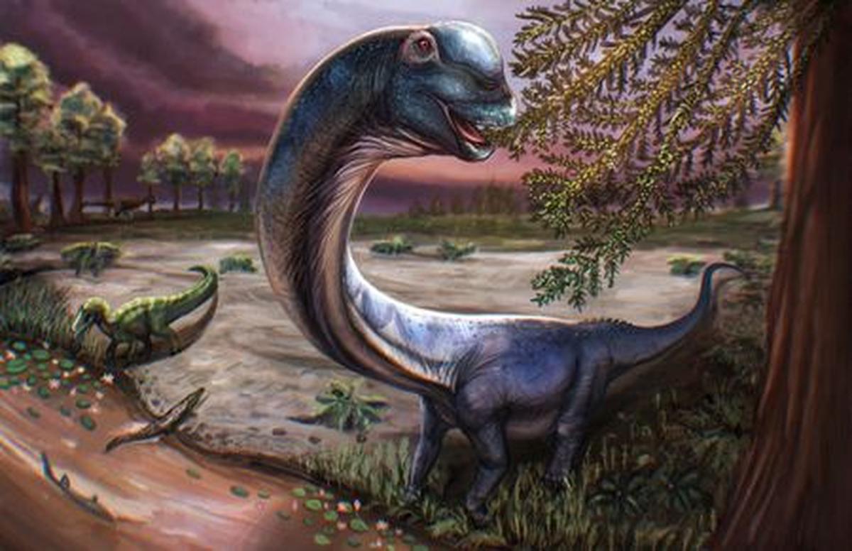 Artist reconstruction of the Cretaceous Period sauropod dinosaur Nagatitan chaiyaphumensis, whose fossils were unearthed in Thailand, seen in this illustration released on May 14, 2026. Nagatitan is the largest dinosaur ever found in Southeast Asia. Patchanop Boonsai/Handout via REUTERS    THIS IMAGE HAS BEEN SUPPLIED BY A THIRD PARTY. NO RESALES. NO ARCHIVES. MANDATORY CREDIT