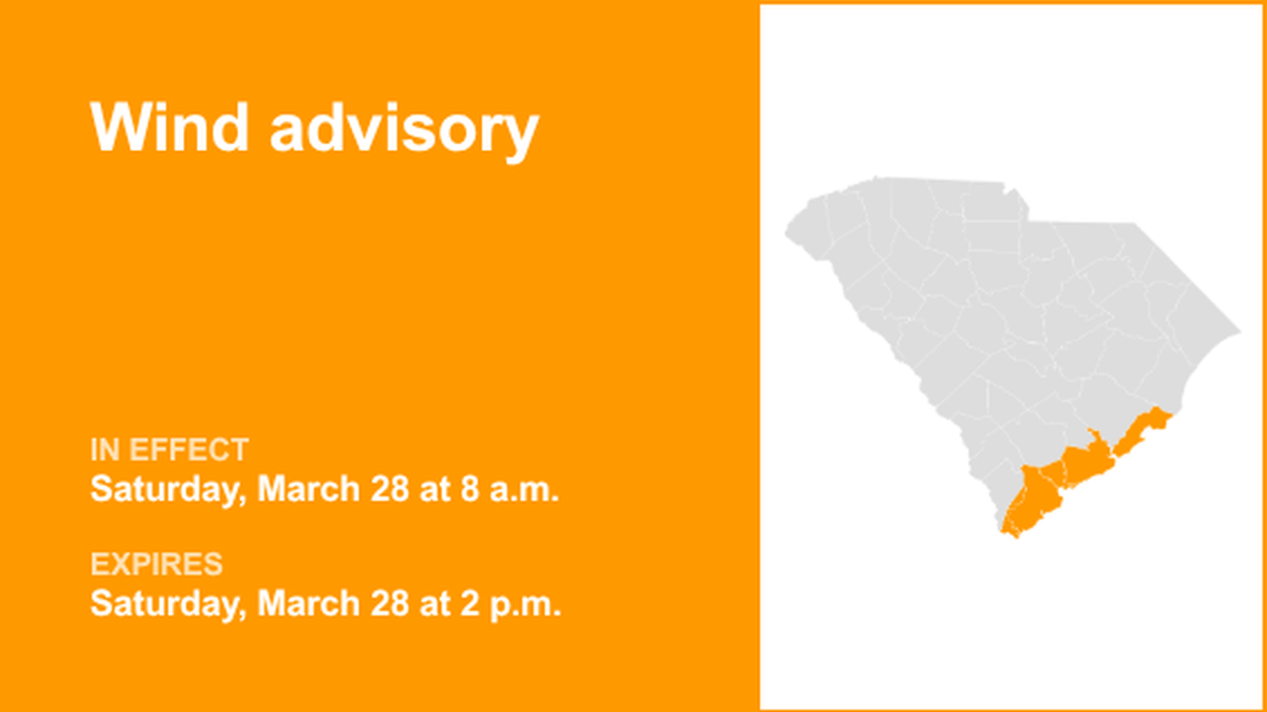 UPDATE: Lowcountry placed under a wind advisory Saturday - gusts to hit 40 mph 