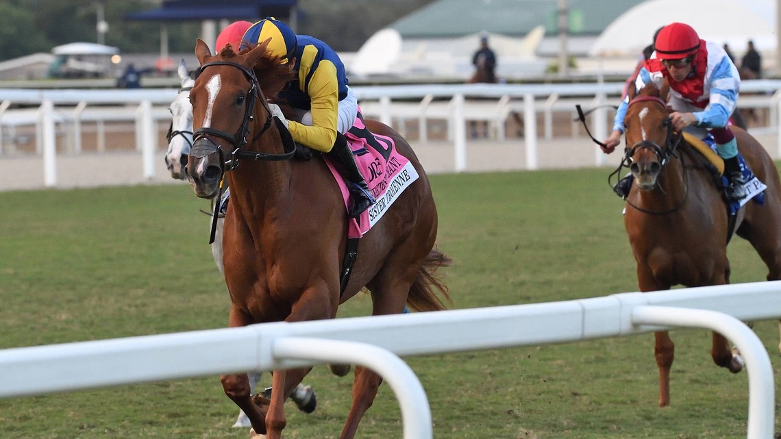 Multiple Stakes Winner Sister Troienne Highlights Valley View Field 