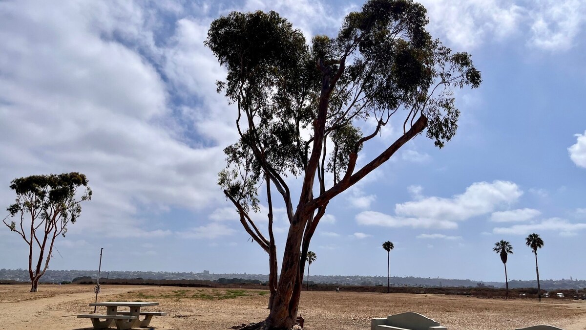 Benches and tables offer a breezy resting place before leaving Fiesta Island. (Maura Fox / The San Diego Union-Tribune)