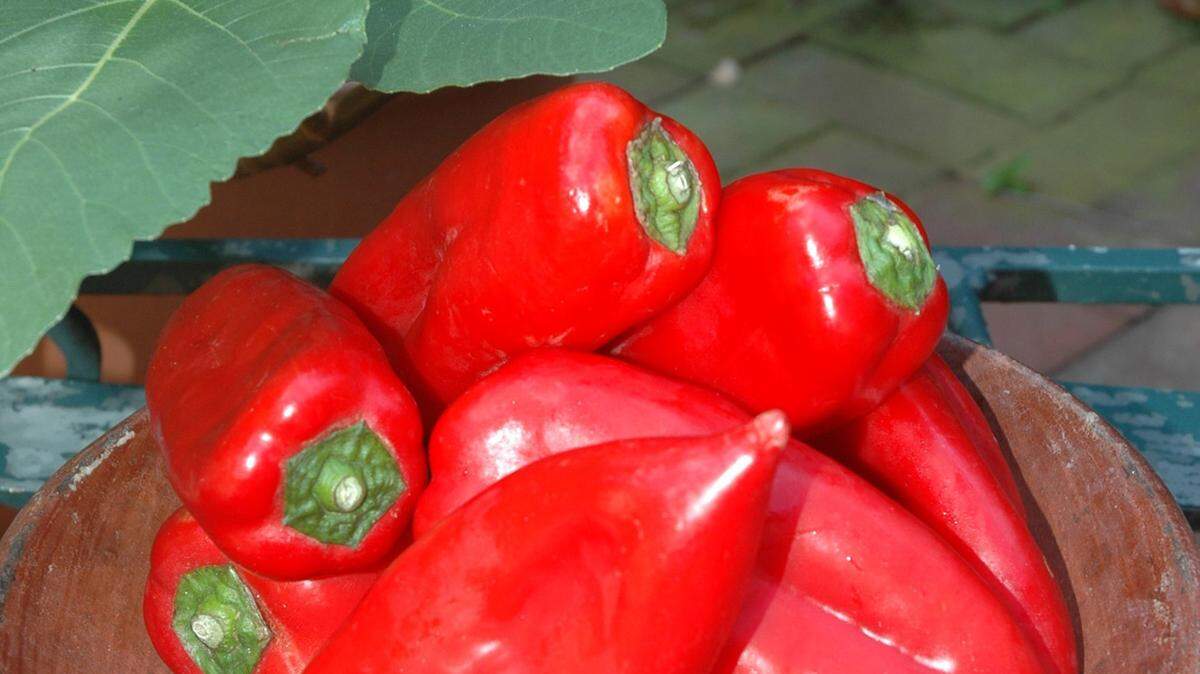 Sweet, with little to no heat, the piquillo is the among the most popular peppers in Spain.