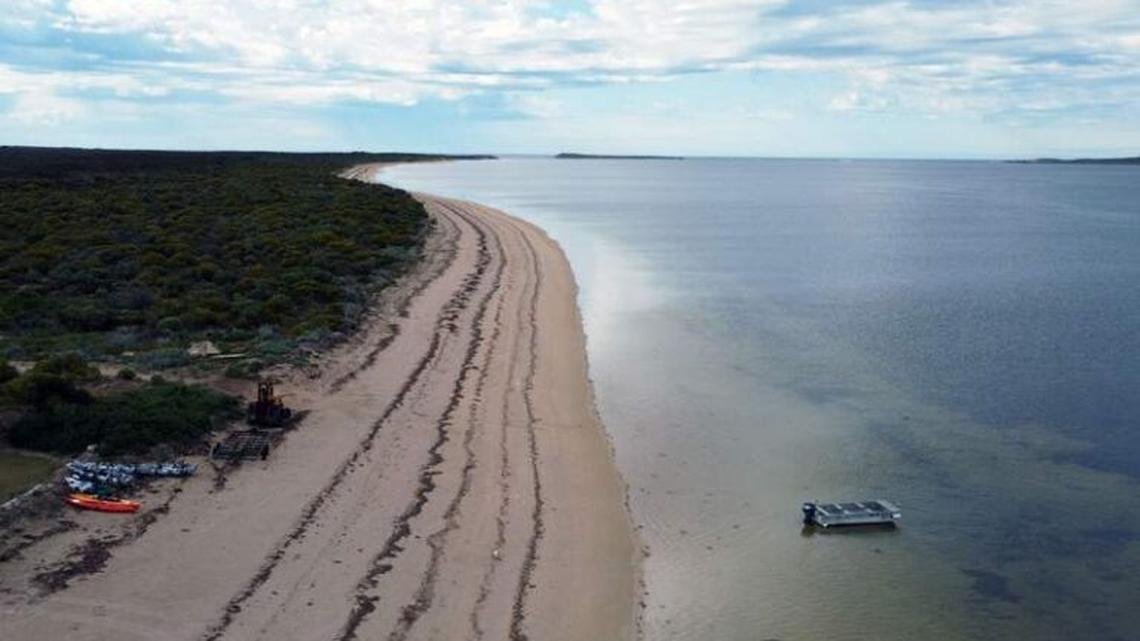 Eyre Peninsula Travel Guide: Australia's Best Gem 