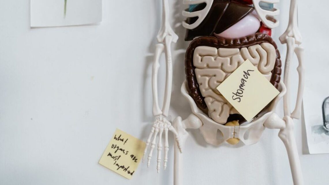 Expert debunks ‘gut hacks' trending on social media