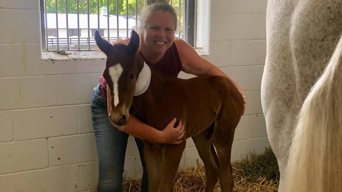 Kirkpatrick & Co. Presents In Their Care: For Orphaned Foals, Bronwyn Watts Found A Better Way 