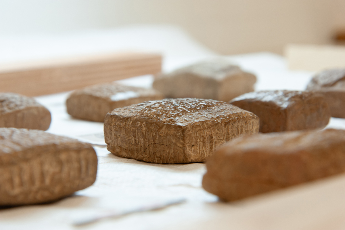 In an undated image provided by Samaneh Ehteram, cuneiform artifacts tightly sealed within clay envelopes. A team of historians, scientists and engineers has developed a portable X-ray scanner to study 4,000-year-old letters encased in clay envelopes. (Samaneh Ehteram via The New York Times) -- NO SALES; FOR EDITORIAL USE ONLY WITH NYT STORY XRAY SCANNER LETTERS BY KATHERINE KORNEI FOR JUNE 23, 2026. ALL OTHER USE PROHIBITED. --