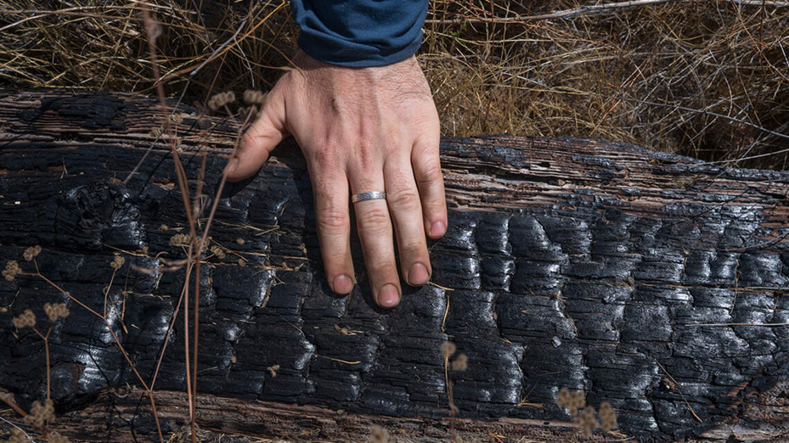 Bigger, hotter fires are slowly erasing America's great forests