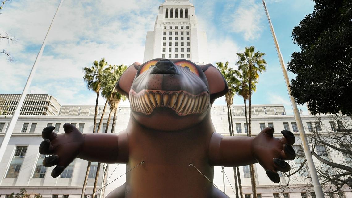 Susan Shelley: Los Angeles County Public Health fails the typhus test 