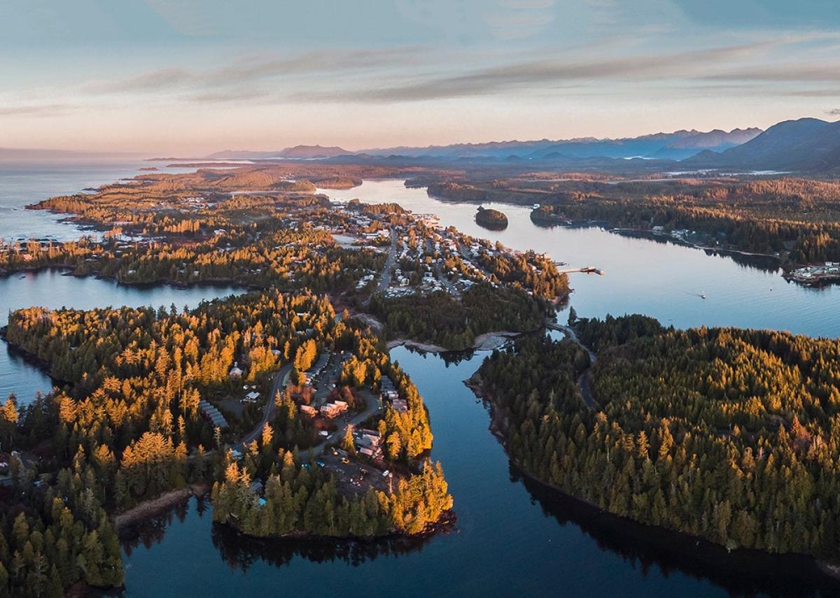  Tomas Kulaja // Shutterstock 