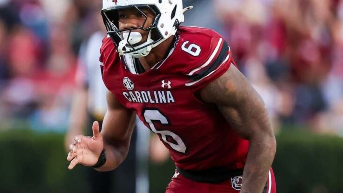 Reports: South Carolina's Dylan Stewart suspended indefinitely 