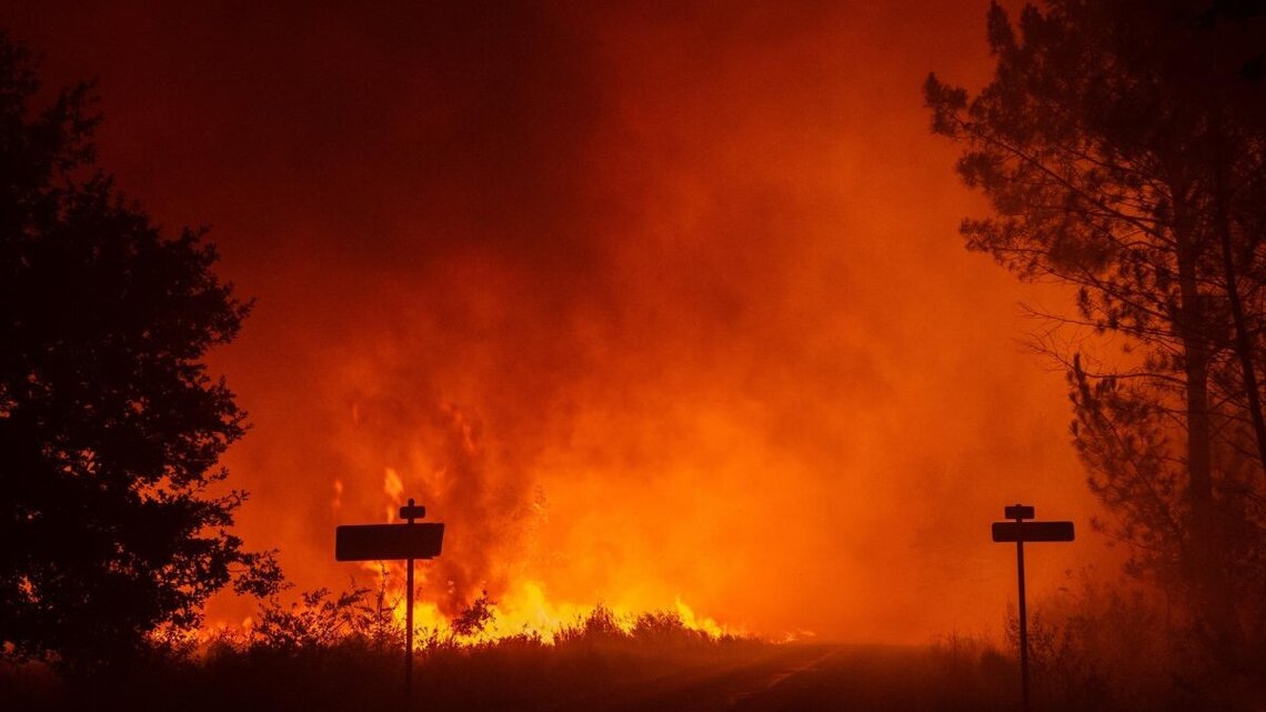 French wine industry could face struggle after fire damage ruins crops 