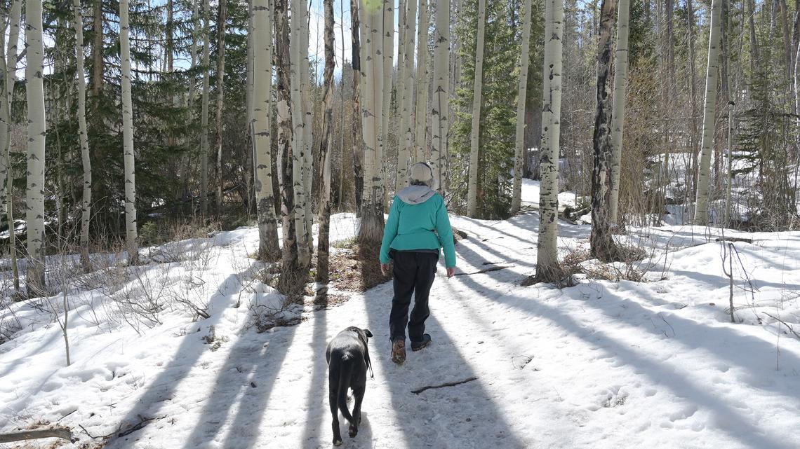 A hiker and their dog head up Peak’s trail in Frisco, Colo., on Thursday, March 19, 2026. (Hyoung Chang/The Denver Post/TNS)