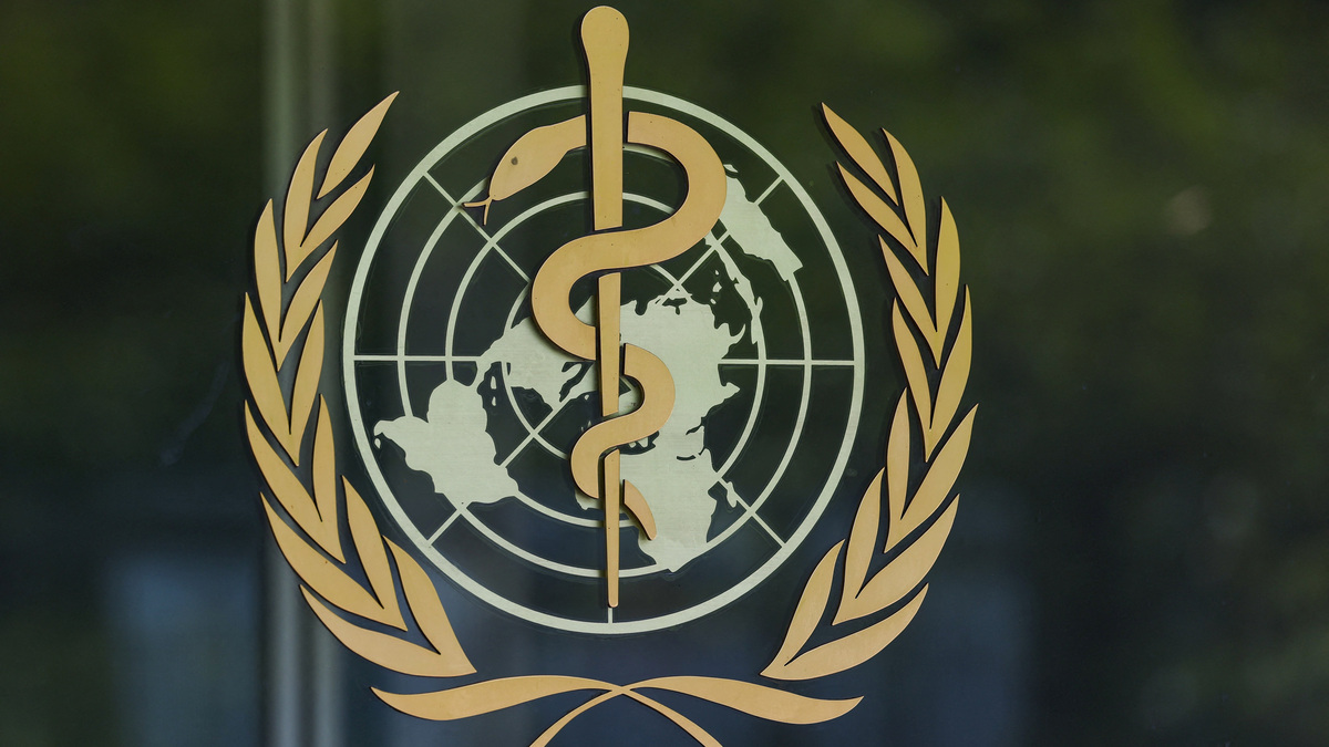 A treatment trial for the Bundibugyo Ebola outbreak in the Democratic Republic of Congo enrolled its first patient on Thursday, according to World Health Organization Director-General Dr. Tedros Adhanom Ghebreyesus.