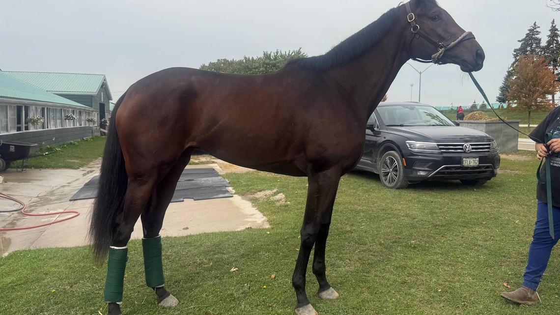 Table Set: Glorious Gem Takes On Nine In Cup And Saucer 