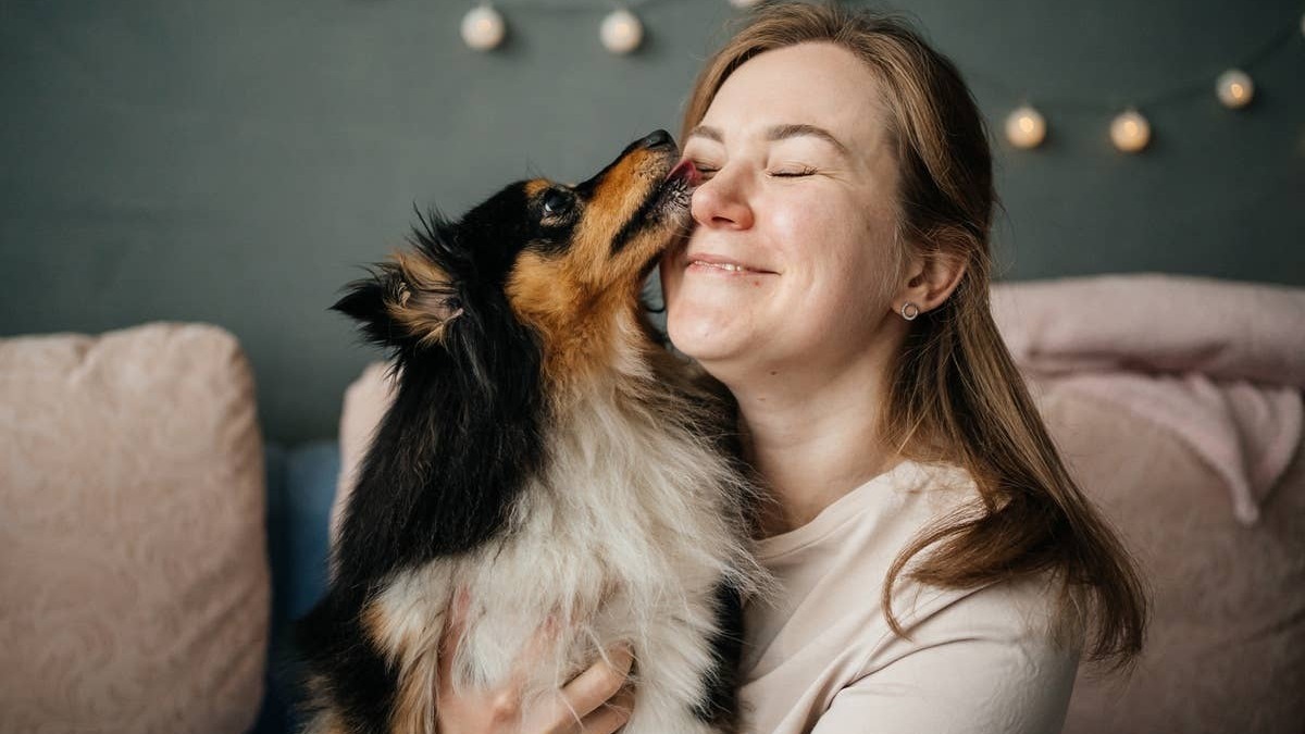 Dogs communicate love and appreciation through everyday behaviors and body language. 