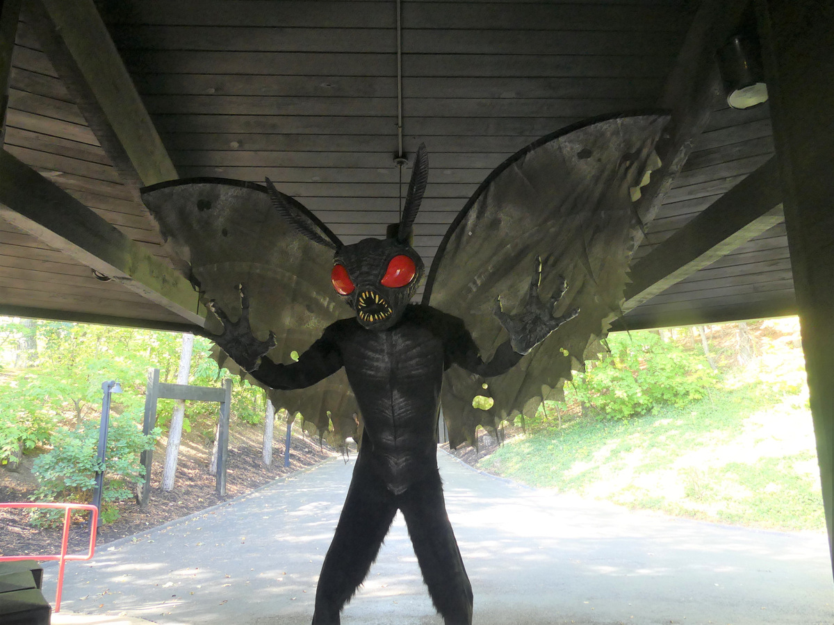 Do these creatures haunt America's woods? Why they fascinate us ...