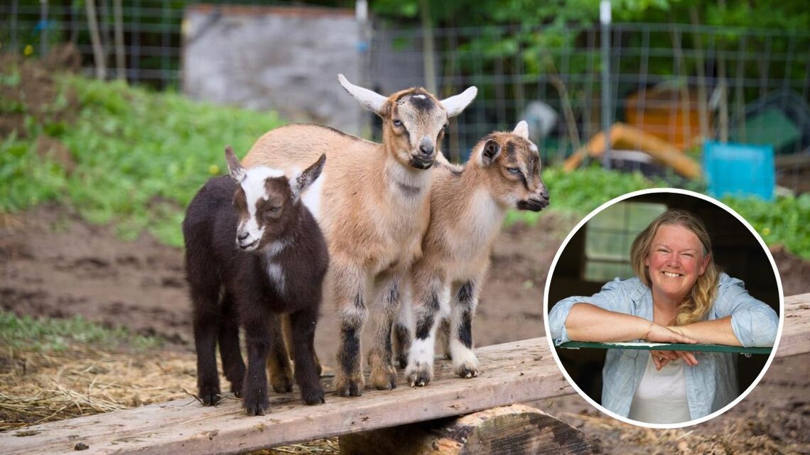 Her Goats Inspired a Life-Changing Therapy Farm