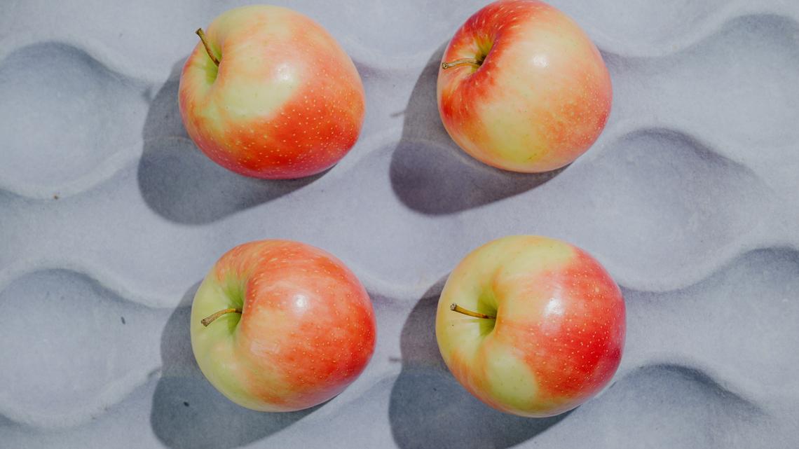 After Cosmic Crisp, Scientists Unveil an Apple for the Climate Change Era 