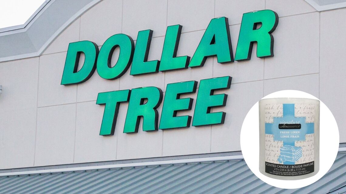 Dollar Tree Clean Girl Aesthetic for $1.75 or Less