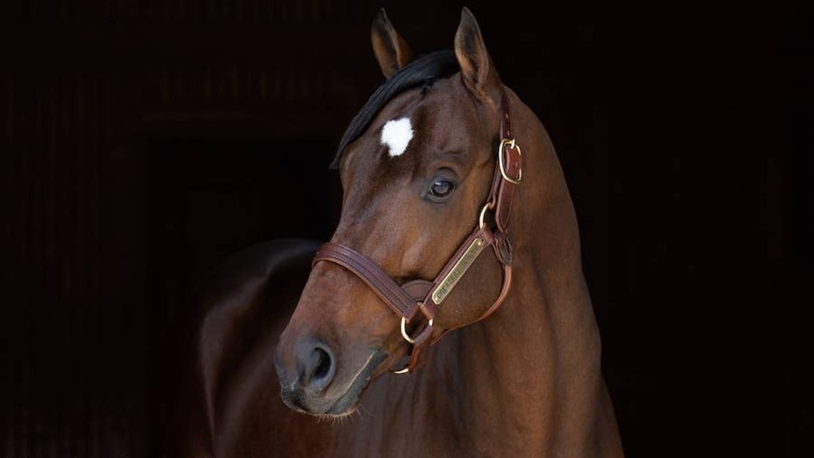 Greatest Honour Filly Tops 2026 Indiana Yearling, Mixed Sale 
