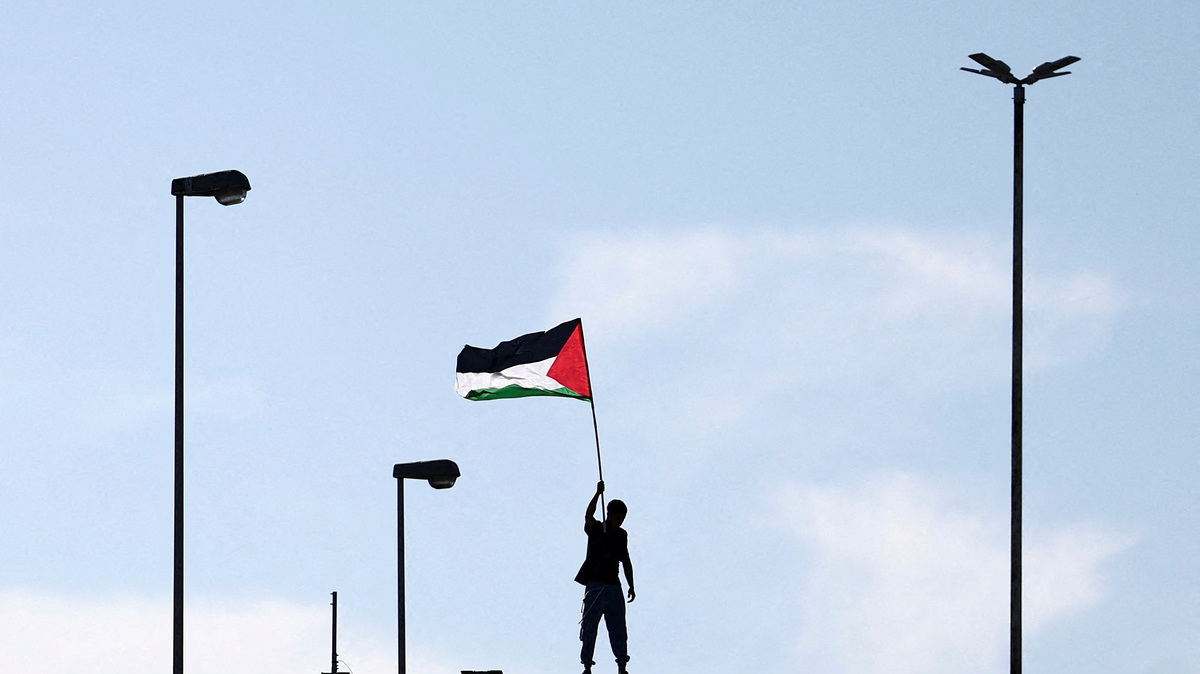 A pro-Palestinian demonstrator waves a Palestinian flag while protesting during a nationwide strike called by the USB union to condemn the Israeli forces' interception of the Global Sumud Flotilla vessels aiming to reach Gaza and break Israel's naval blockade, in Rome, Italy, October 3, 2025. REUTERS/Yara Nardi