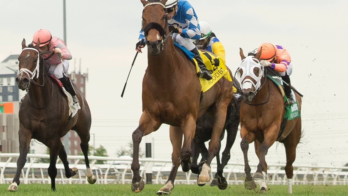 9-Year-Old Artemus Citylimits Lights Up Tote Board In Vice Regent Stakes 