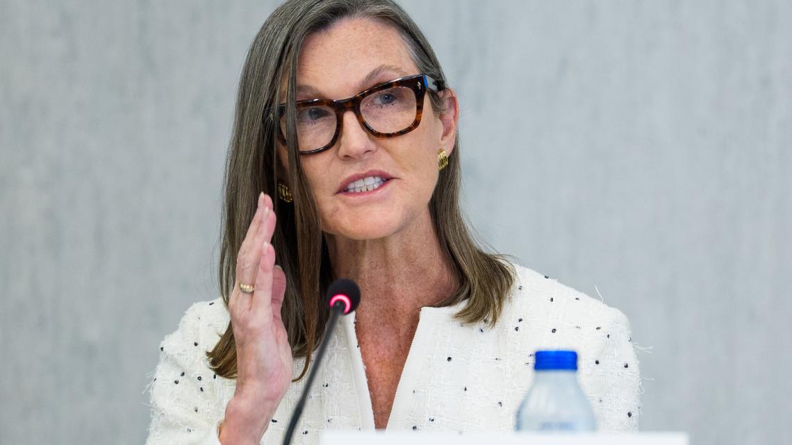 Cathie Wood buys $14 million of megacap AI stocks 