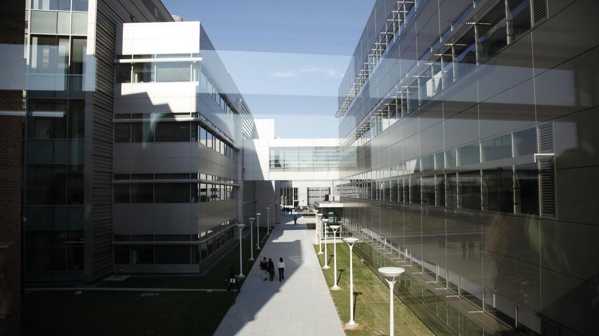 Staff walk among the buildings at the the U.S. Food and Drug Administration (FDA) headquarters in Silver Spring, Maryland, November 5, 2009.  REUTERS/Jason Reed