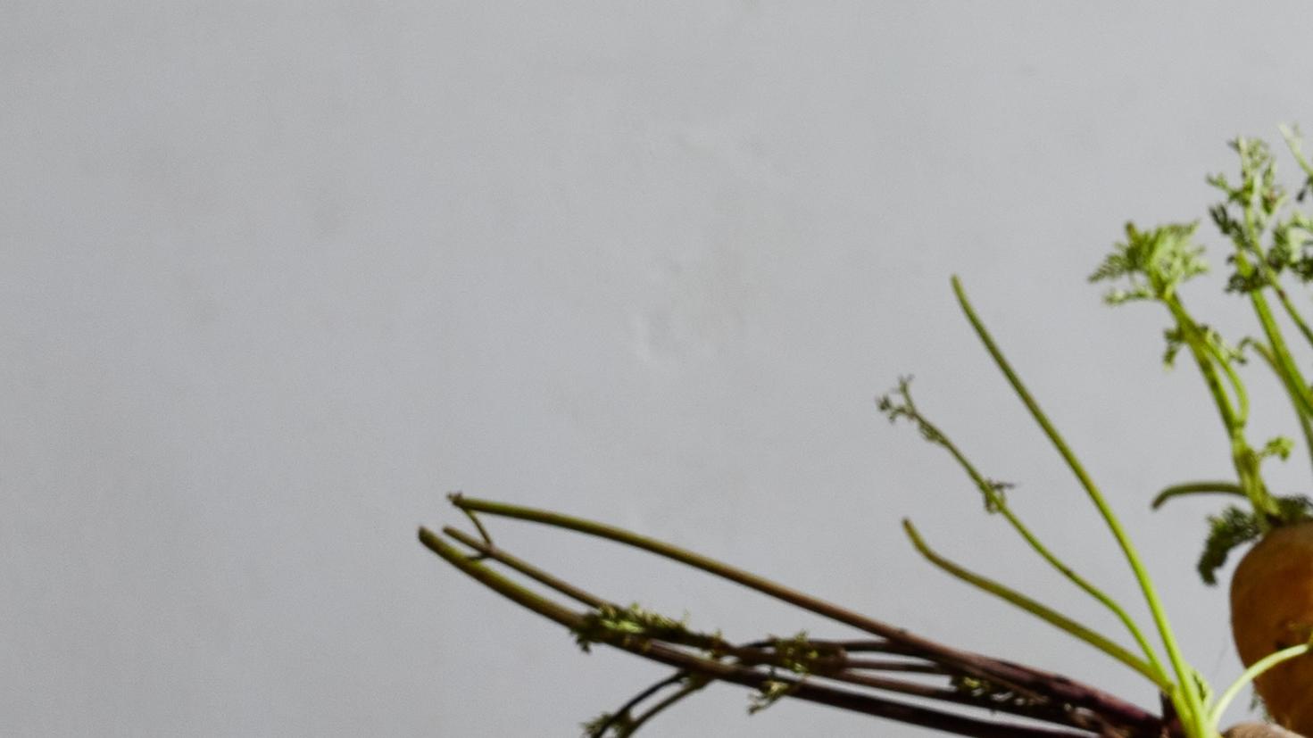 How What You Eat Affects Cancer Risk