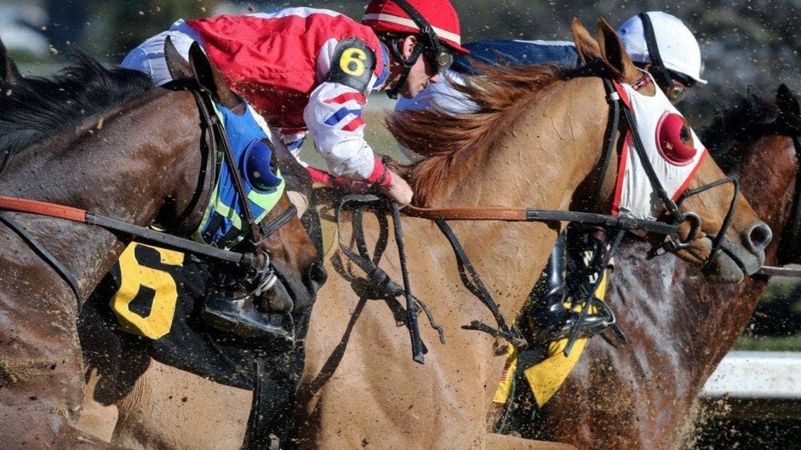 60th IFHA Conference To Examine International Racing's Past And Future 
