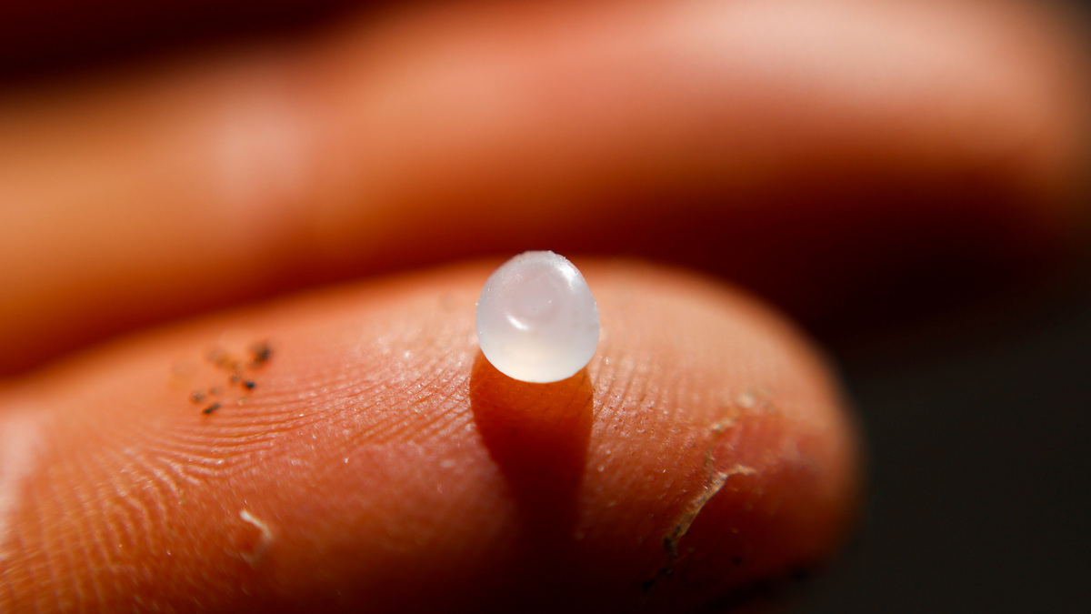 FILE PHOTO: A piece of micro plastic on a beach, in Gran Canaria, Spain, August 30, 2021. REUTERS/Borja Suarez/File Photo