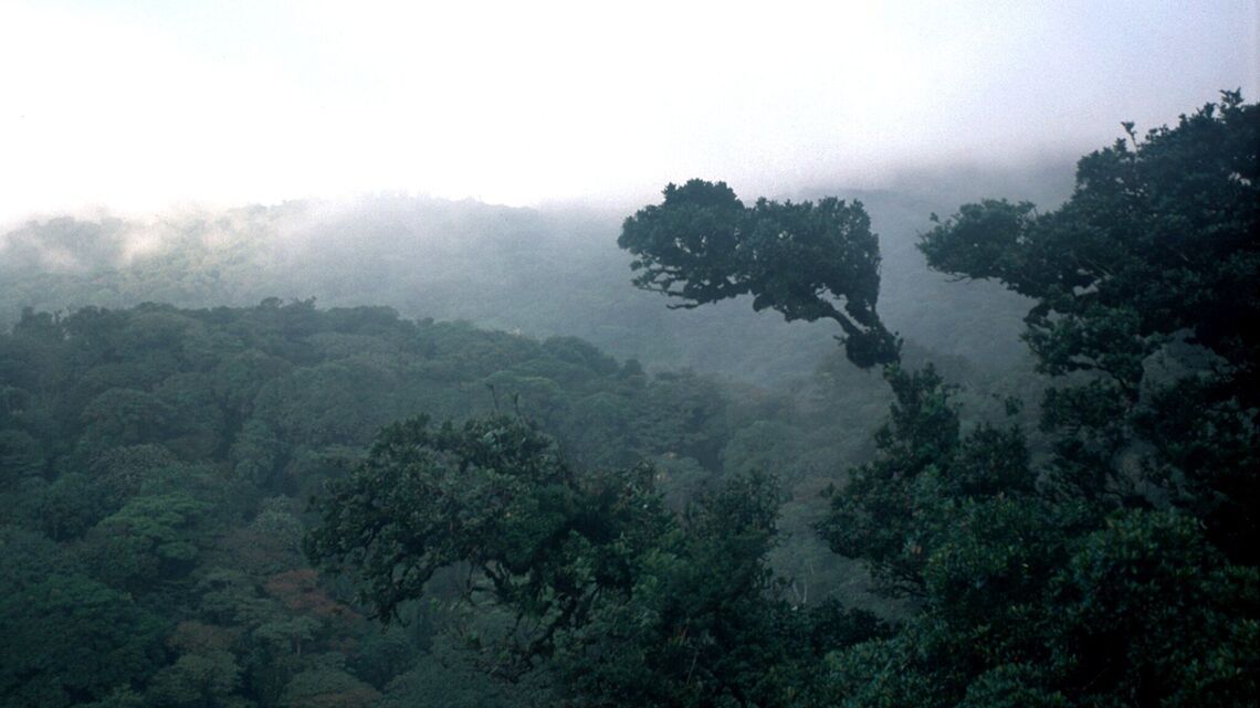 Wildlife, fewer crowds and lush scenery: Enjoy Costa Rica off-season 