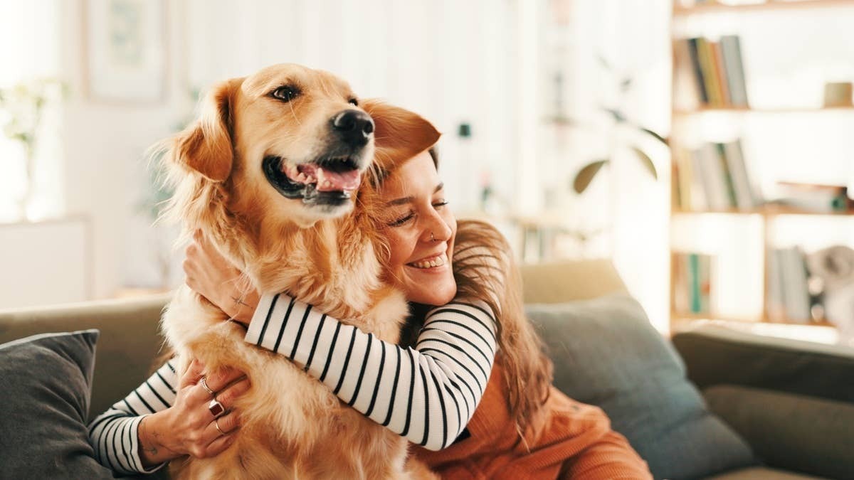 A dog bonding over morning cuddles with its owner. 