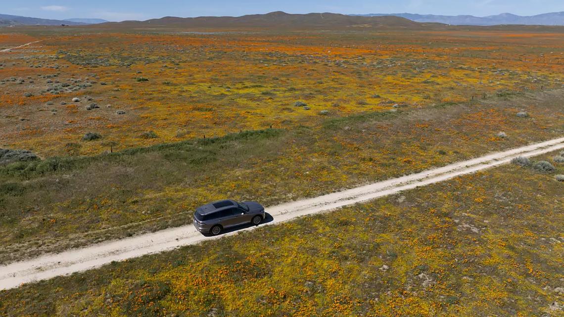 Don't want to miss the bloom? This LA scientist created a poppy forecast 