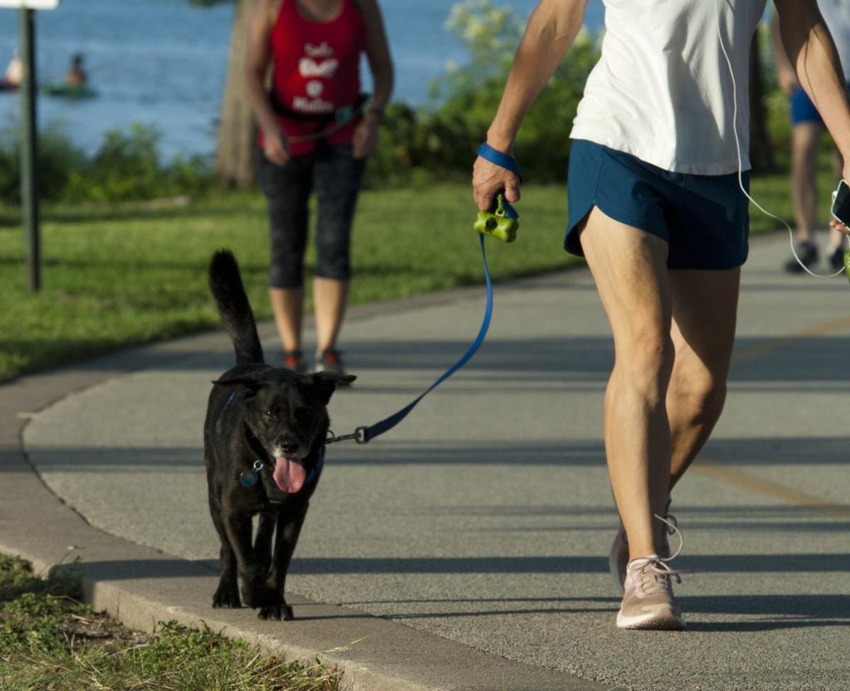  Walking with a dog is one way to stay active. (American Heart Association via SWNS) 