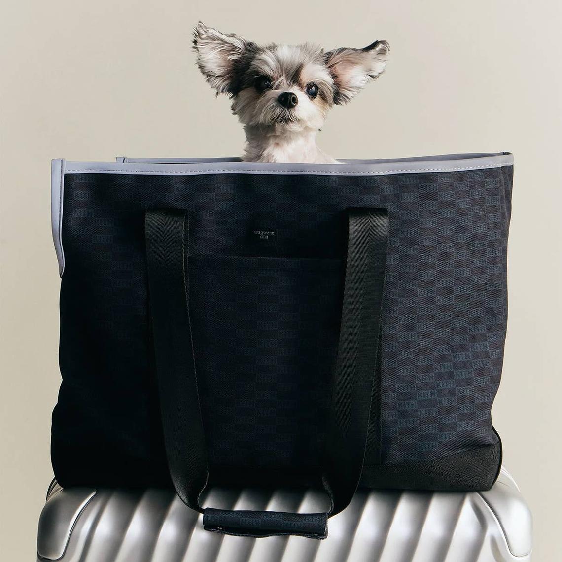  wagwear Carpenter Bag Carrier, black.