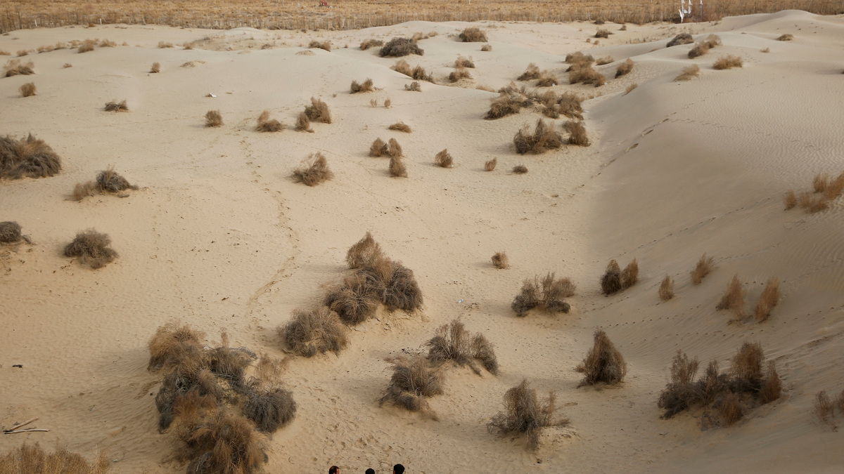 FILE PHOTO: Men sit at the foot of a dune in Taklamakan Desert outside the village of Jiya near Hotan, Xinjiang Uighur Autonomous Region, China, March 21, 2017.  REUTERS/Thomas Peter/File Photo