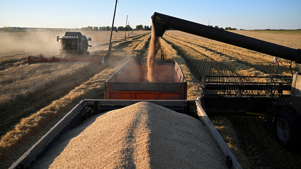 Analysis-Wheat buyers brace for higher costs as Russia-Ukraine war drags on 