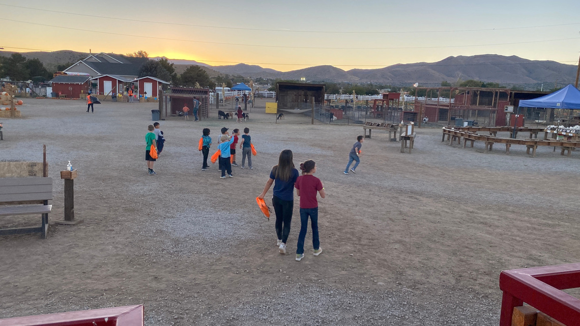 Gun found by child at pumpkin patch could could have been 'devastating' 