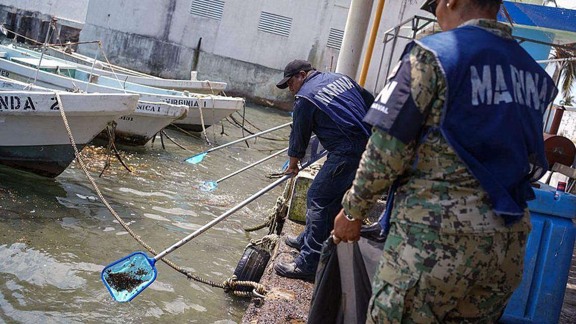 Gulf oil spill sparks transparency concerns in Mexico