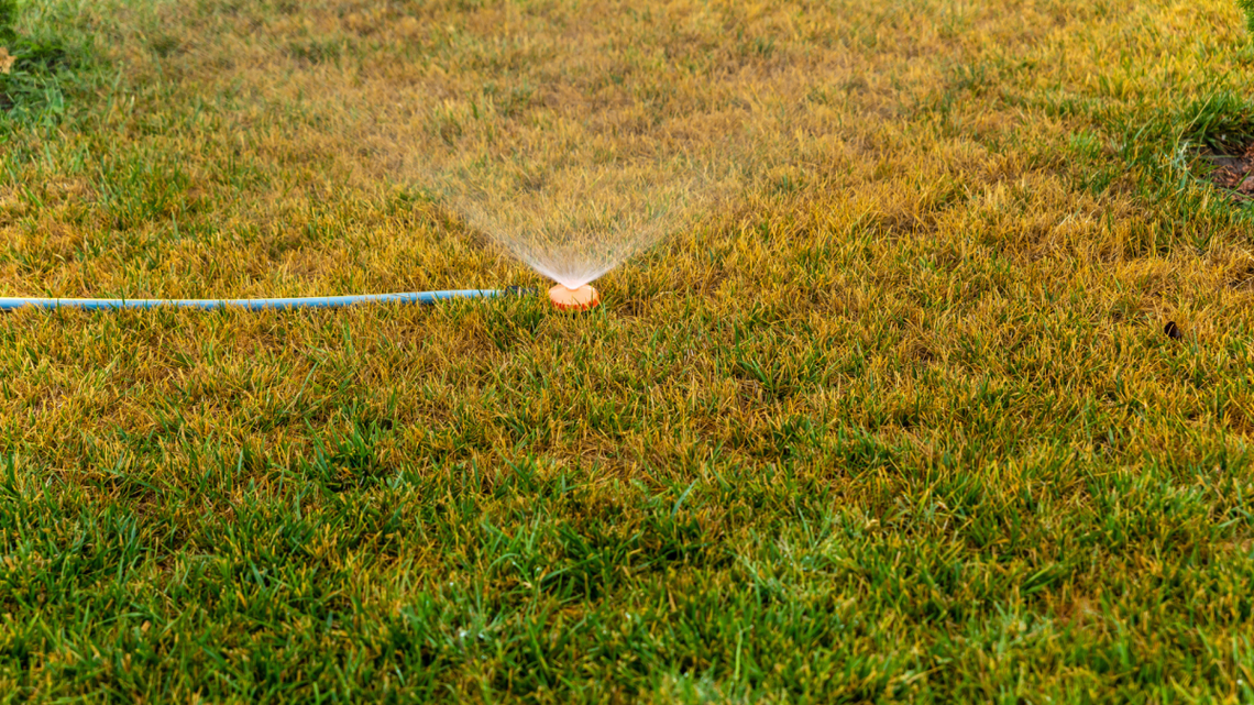 The Winter Watering Mistake That Can Wreck Your Grass