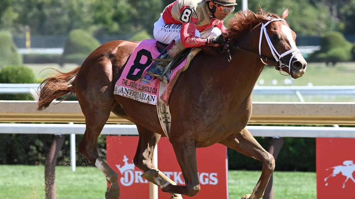 Antiquarian Retired From Racing, Stud Plans To Be Determined 