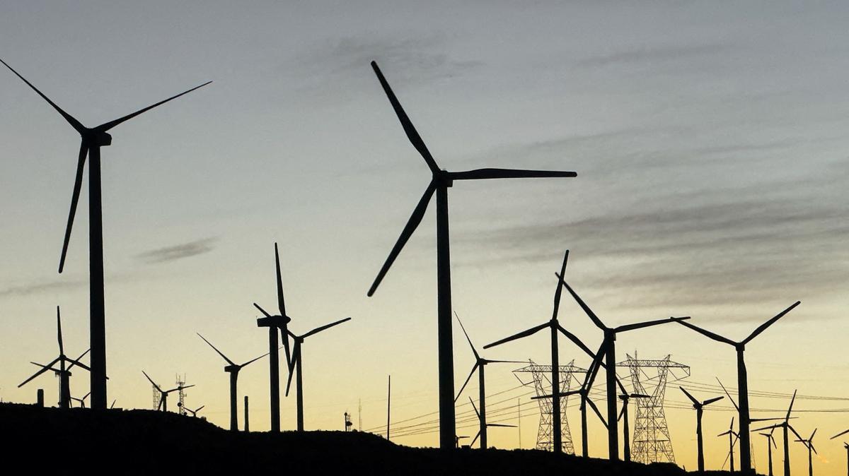 Wind turbines are shown in Palm Springs, California, U.S., October 12, 2024. REUTERS/Mike Blake